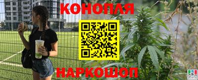 хмурый Краснодар